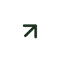 Arrow Icon